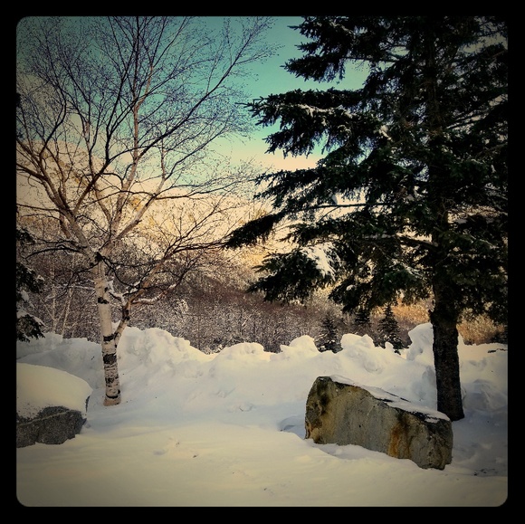 Meet your Posher, Elle - Picture 1 of 1